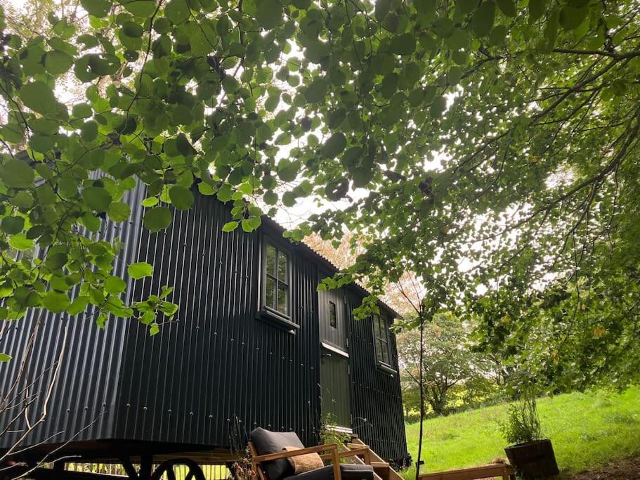 Cornwall Woodland Shepherd'S Hut Deirdres Hut Бодмин Екстериор снимка