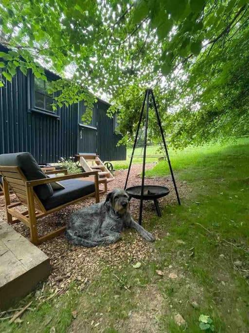 Cornwall Woodland Shepherd'S Hut Deirdres Hut Бодмин Екстериор снимка