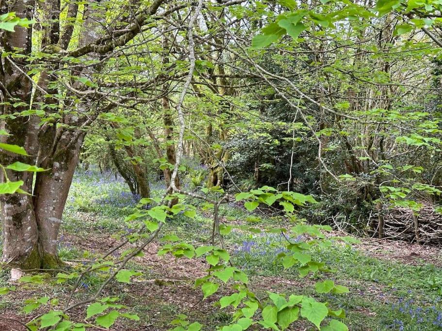 Cornwall Woodland Shepherd'S Hut Deirdres Hut Бодмин Екстериор снимка